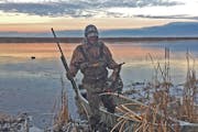 Manitoba is likely to limit the number of U.S. waterfowlers — meaning, primarily, Minnesotans — who can hunt in the province.