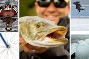 Muskie shows, eagle spotting, ice-out watching, migration prepping … there’s a lot to do in Minnesota this March.
