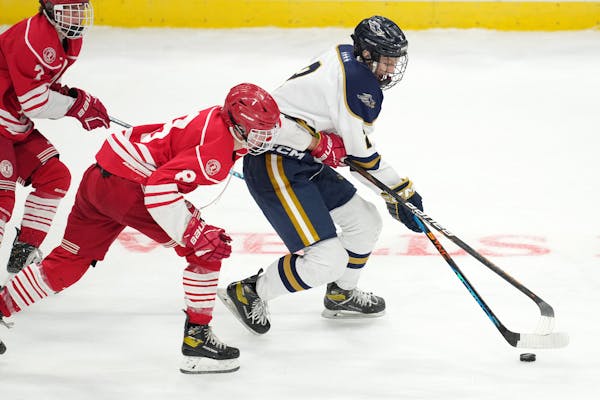 Luverne’s Brady Bork found a couple of uses for a hockey stick Wednesday. He used one to pester Hermantown defenseman Henry Peterson during the quar
