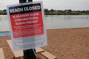 Barker’s Island beach in Superior, Wis., was closed in 2021 due to a toxic algae bloom at the Lake Superior beach.