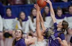Albany forward Alyssa Sand blocked a shot by Goodhue forward Tori Miller in the first half.