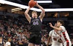 Ethan Borgerding scored 16 points for Albany in the state championship game.