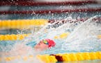 At the state meet, Eden Prairie senior Luke Logue won two races, swam legs on two winning relays and led his team to the Class 2A championship.