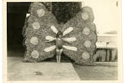 A child in a butterfly costume during a children’s pageant produced by Alice Dietz at Lyndale Park in Minneapolis in the early 20th century. The Min