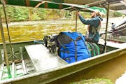 A towboat operator tied a canoe to an overhead rack ahead of taking a camping party into the BWCA.