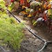 Snip-n-drip irrigation systems apply water directly where it is needed and fit any garden planted in rows. 