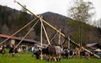 Bavarian dancers erected a traditional Maypole on May 1.