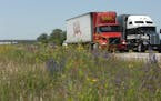 Semitrailer trucks on I-80 in western Iowa with wildflowers.