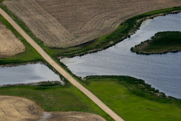 FILE - A road bisects a wetland on June 20, 2019, near Kulm, N.D. The Supreme Court has made it harder for the federal government to police water poll
