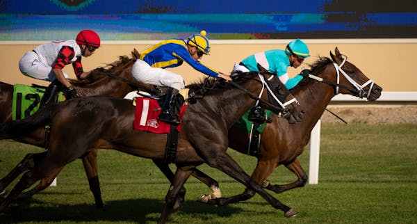 Canterbury Park: Race results, predictions, Star Tribune stories