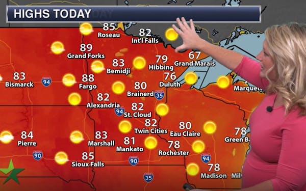 Afternoon forecast: sunny across the state