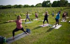 Krystal Turner led the class on the first night of Yoga in the Vineyard Wednesday evening, May 31, 2023 at Schram Vineyards in Waconia. Yoga in the Vi