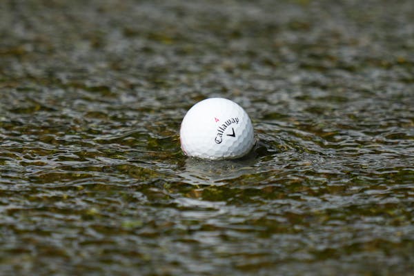 High school golfers who faced suspensions qualify for state