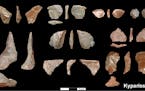 In this undated photo provided by the Greek Culture Ministry shows stone tools dated about 700,000 years ago.