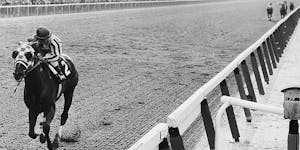Secretariat approached the finish line in his 31-length victory at the Belmont Stakes for the 1973 Triple Crown.