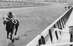 Secretariat approached the finish line in his 31-length victory at the Belmont Stakes for the 1973 Triple Crown.