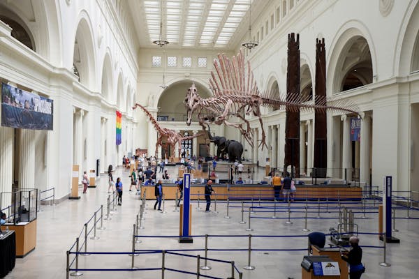 Spinosaurus makes debut at Chicago’s Field Museum