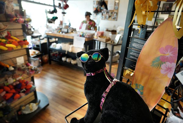 Cat aMewsment sells unique items for the sophisticated kitty, like this SurferCat Harness, shown Thursday in St. Paul.