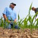 John Peterson, who uses no-till and cover crops in his corn and soybean fields, and Anna Teeter, a conservation agronomist with Cargill, look over the