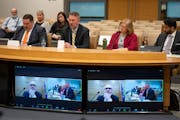 Minnesota Department of Education officials testified during a Senate hearing on oversight of meal distribution programs, including Feeding Our Future