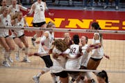 The Gophers celebrated after sweeping the Wisconsin Badgers in three sets at Maturi Pavilion last season.