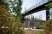 The Treetop Trail at the Minnesota Zoo is the longest elevated pedestrian loop in the world. It’s repurposed from the unused monorail track.