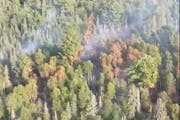 A fire burned in the BWCA southeast of Ely, Minn. on Tuesday Aug. 8, 2023.