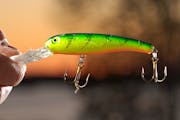 An example of a crankbait.