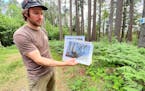 Lane Johnson, a forest research scientist at the University of Minnesota’s Cloquet Forestry Center, held photos of a controlled fire set on the pine
