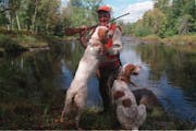 With their dogs by their side, and out ahead, Minnesota upland hunters eagerly await the state’s fall seasons for grouse, woodcock and pheasants.