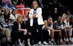 Lynx boss Cheryl Reeve brings honesty and authenticity to coach-speak in Minnesota.