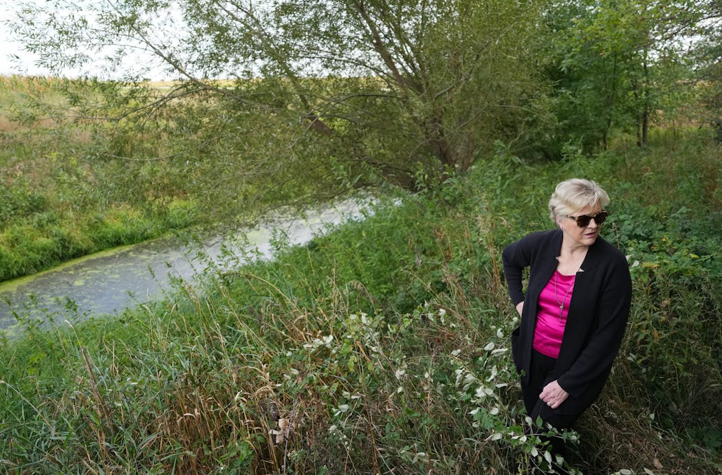Sonja Trom Eayrs observa o início do rio Cedar perto da fazenda de sua família em Blooming Prairie, Minnesota. Ela é membro do Dodge County Concerned Citizens, um dos grupos que está processando a Agência de Proteção Ambiental dos EUA para tentar obter regras mais rígidas para a poluição da água licenças para grandes explorações pecuárias.
