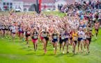 The girls championship race at the Roy Griak Invitational went 377 runners deep.