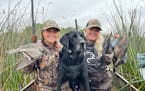 Sophie Arhart, left, with her sister Gracie and Ace the black Labrador in southern Minnesota during Saturday’s duck opener. Two woodies, a pintail a
