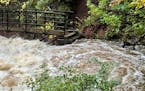 Water reached the upper steps of a bridge over Tischer Creek between E. Fourth St. and Superior St. in Duluth on Sunday night.