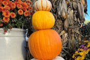 The latest trend in decorating with pumpkins: stacking them.