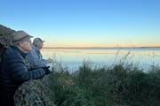 As the sun sets, Will Smith, foreground, and Dan Gahlon watch redheads, ring-necked ducks, green-winged teal and trumpeter swans trade back and forth 