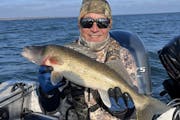 Scott Ward of Inver Grove Heights said fishing big walleyes on Mille Lacs in November was like stealing time.