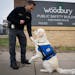 Detective Adam Sack and his canine partner Otis, a therapy dog, spent time together at the Public Safety Building in Woodbury on Nov. 10. The Woodbury
