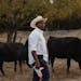 Albert Johnson Jr. takes care of cattle on his family’s farm in Mississippi. The family was denied a conservation grant.