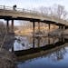 A park visitor leans over a bridge leading to Pike Island to look for beavers at Fort Snelling State Park. All state park admission is free on Friday,