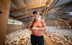 Erica Sawatzke held a three-week-old turkey in one of the barns at her family farm in Kensington, Minn., on Oct. 4. Sawatzke says having high-speed in