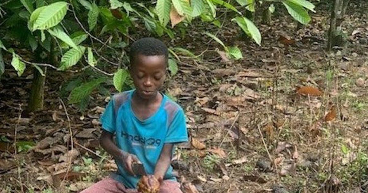 Lawsuit targets Cargill, food makers for child labor in cocoa supply