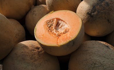 The U.S. Centers for Disease Control and Prevention warned consumers not to eat certain whole and cut cantaloupes and pre-cut fruit products linked to