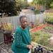 Amoke Kubat, shown in her north Minneapolis backyard, is paying $6,000 in ash tree removal costs through her property taxes. 